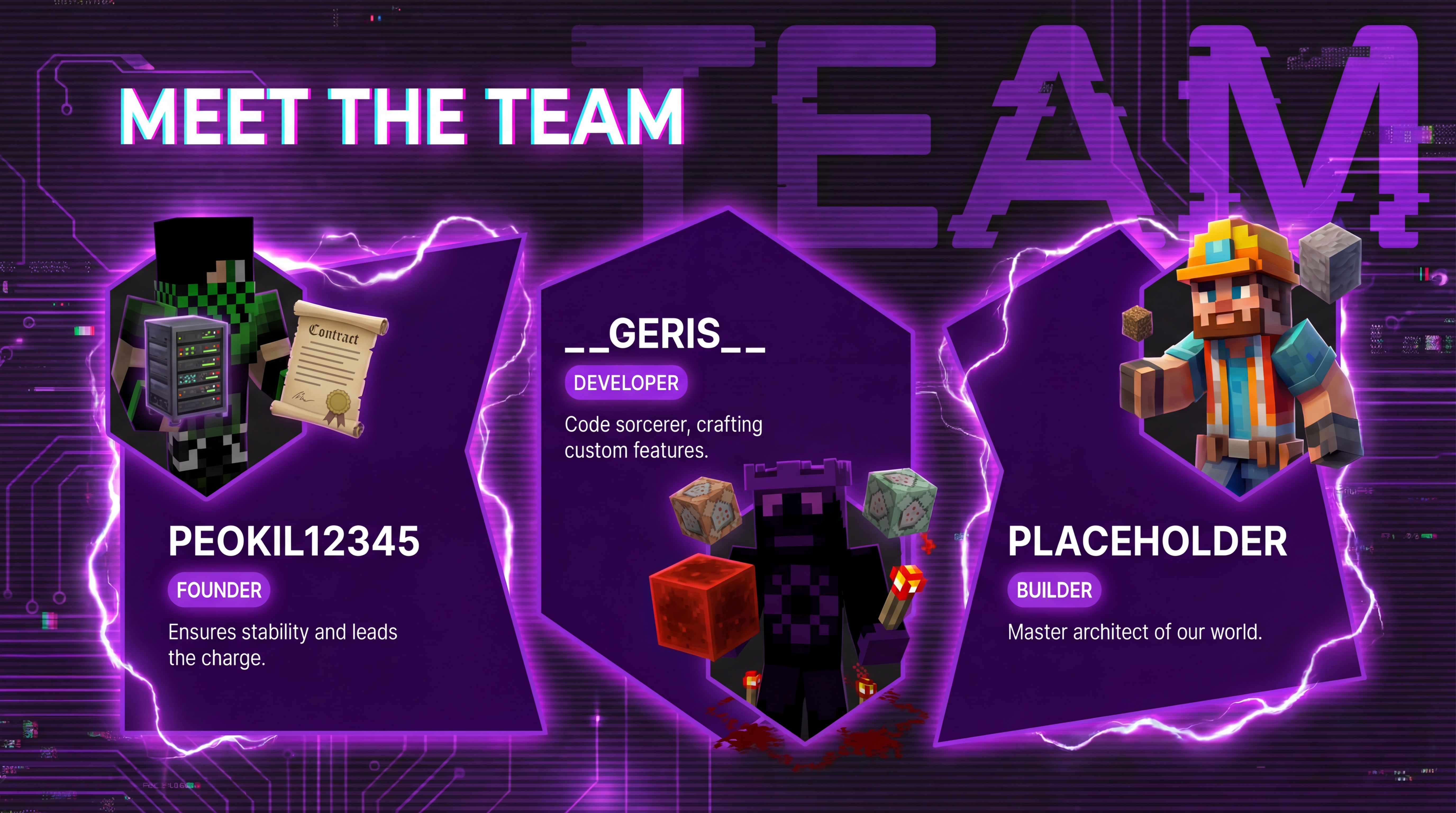 Meet the team banner